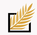WN Financial Solutions